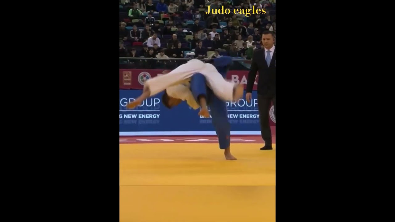 動了一項全