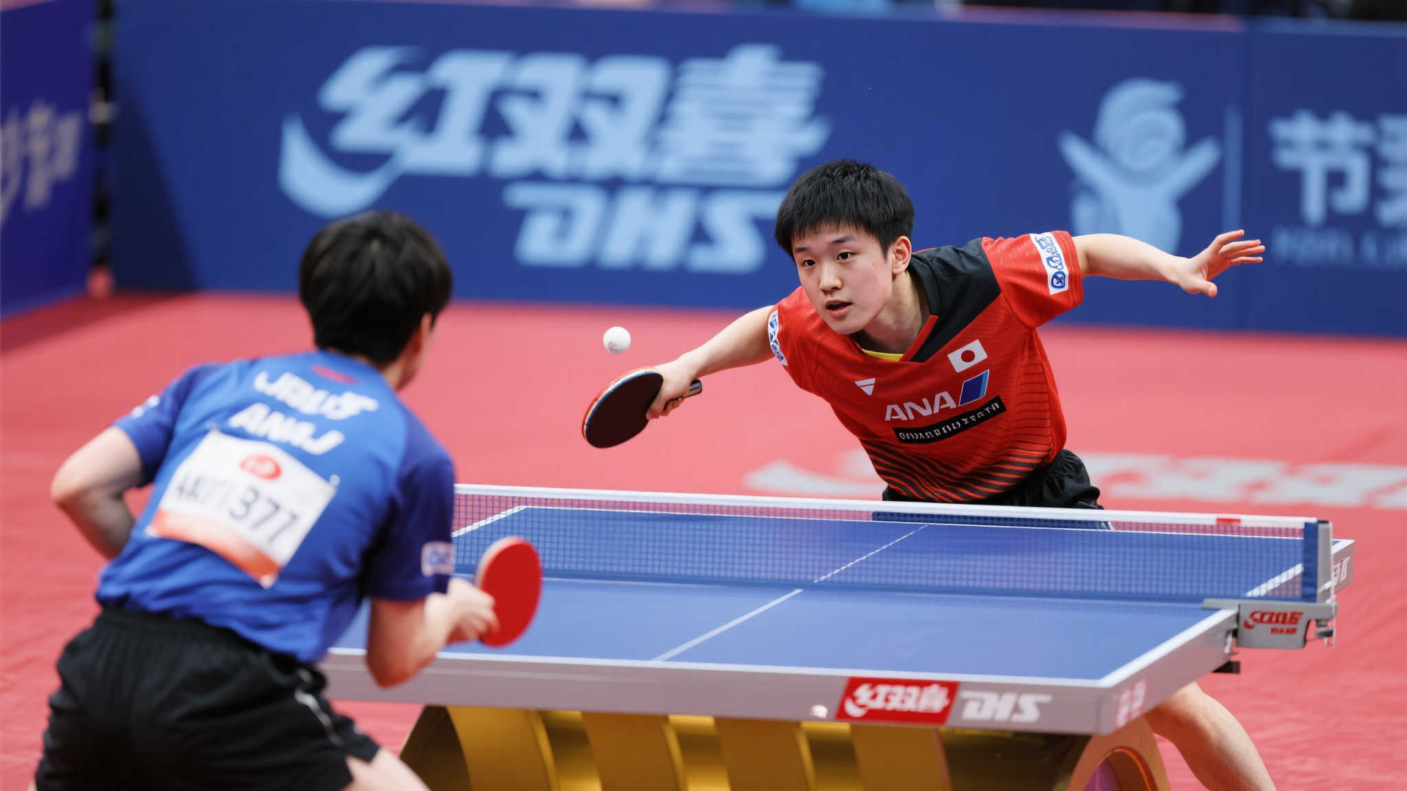 注的转会新 注的转会新